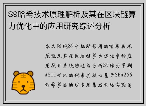 S9哈希技术原理解析及其在区块链算力优化中的应用研究综述分析